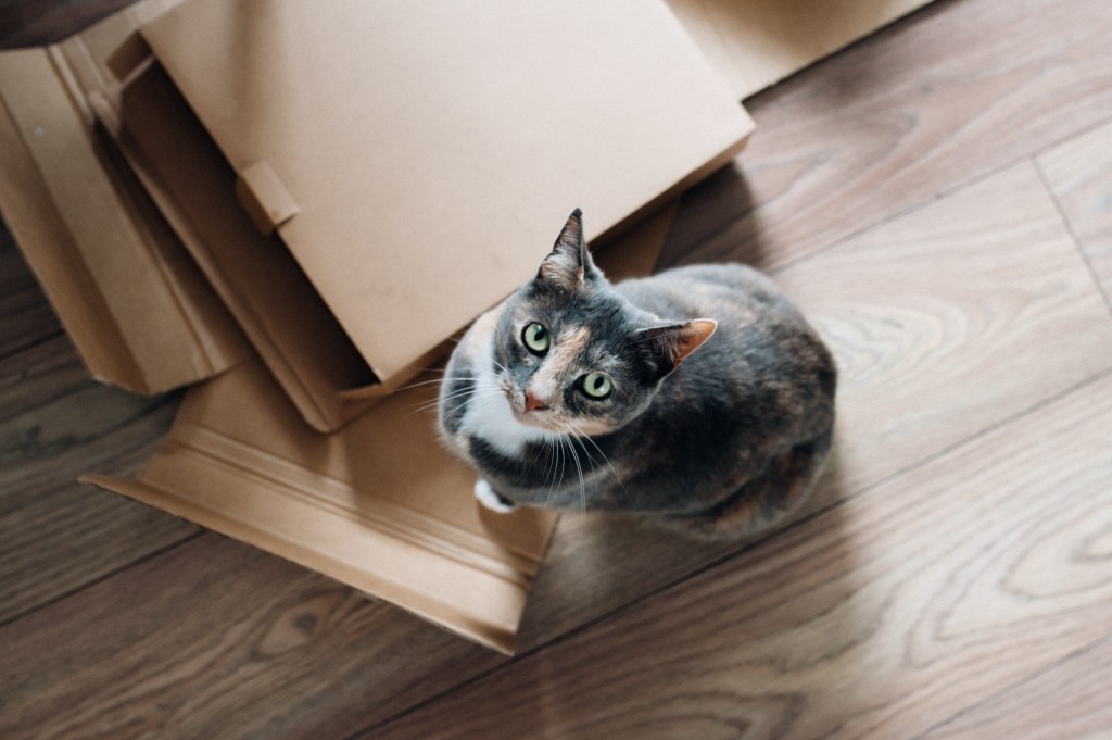 moving tips