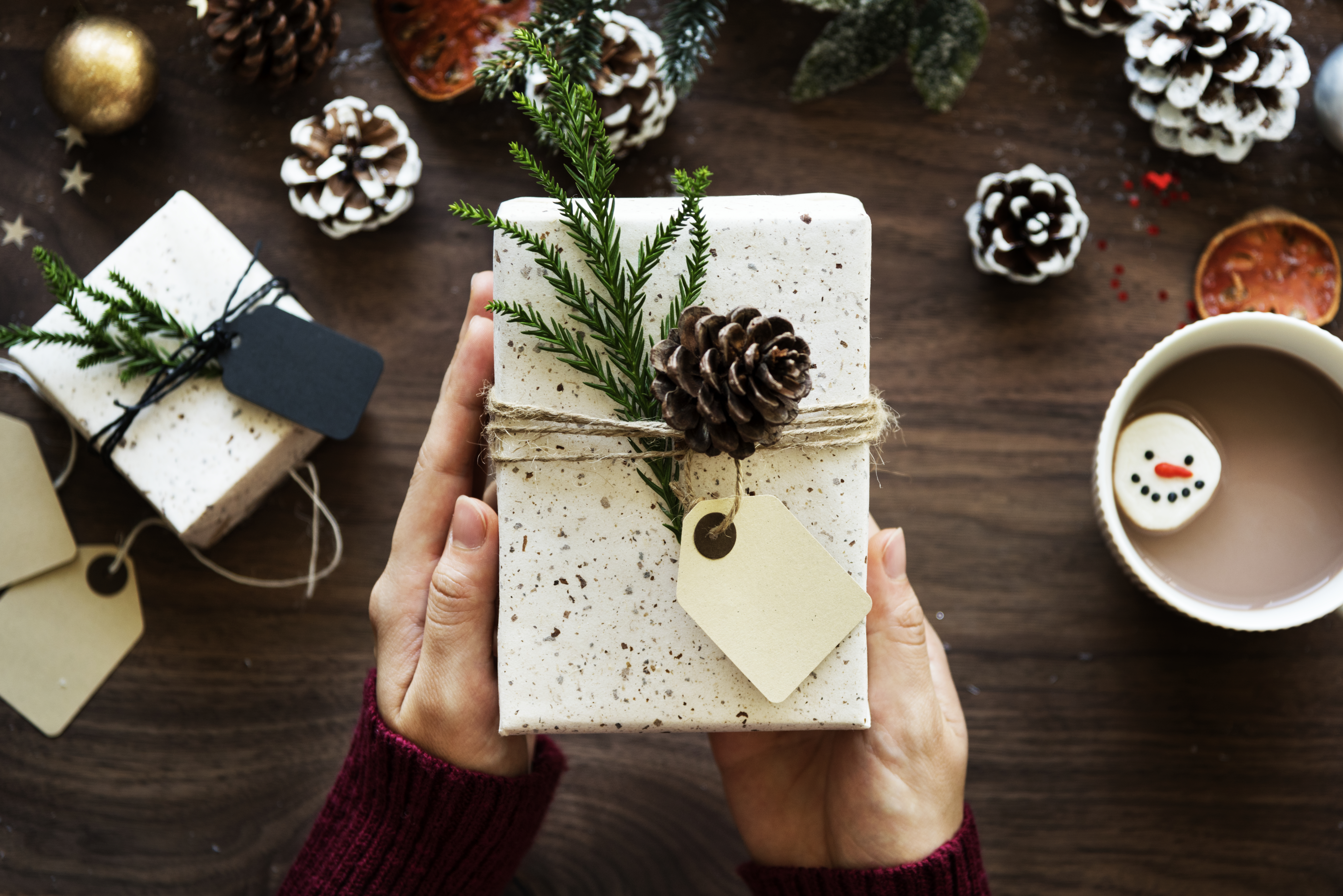 holiday gift guide