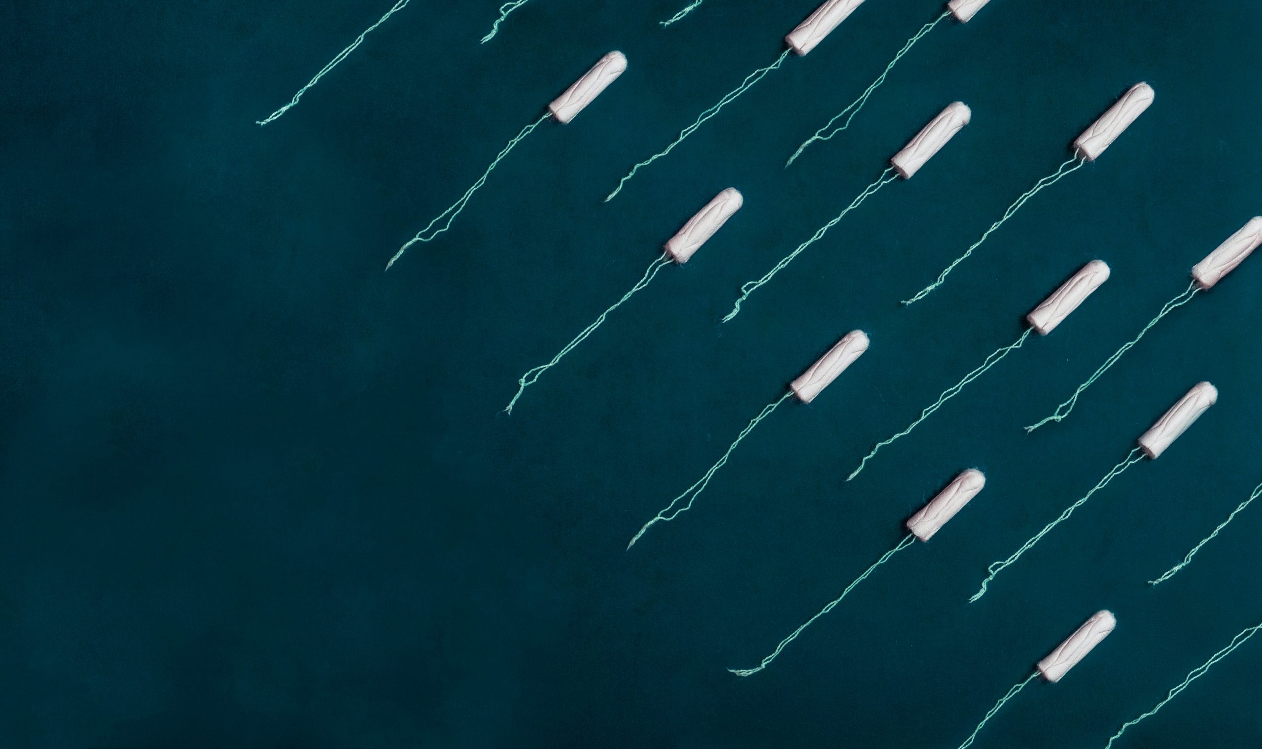 Menstrual Product Waste