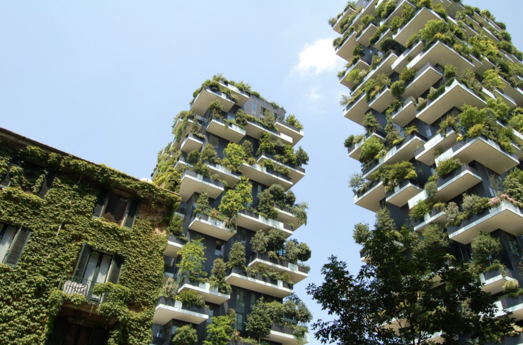biophilic design, biophilic,